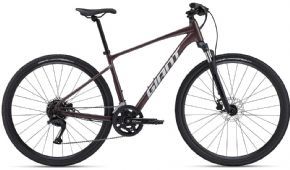 Giant Roam 2 Disc Sports Hybrid Bike  2024 - 